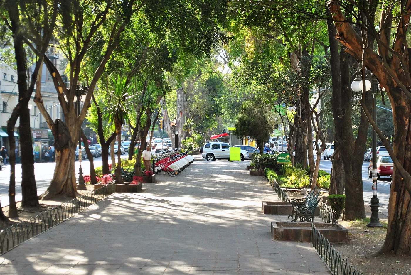 Colonia Roma, Ciudad de México