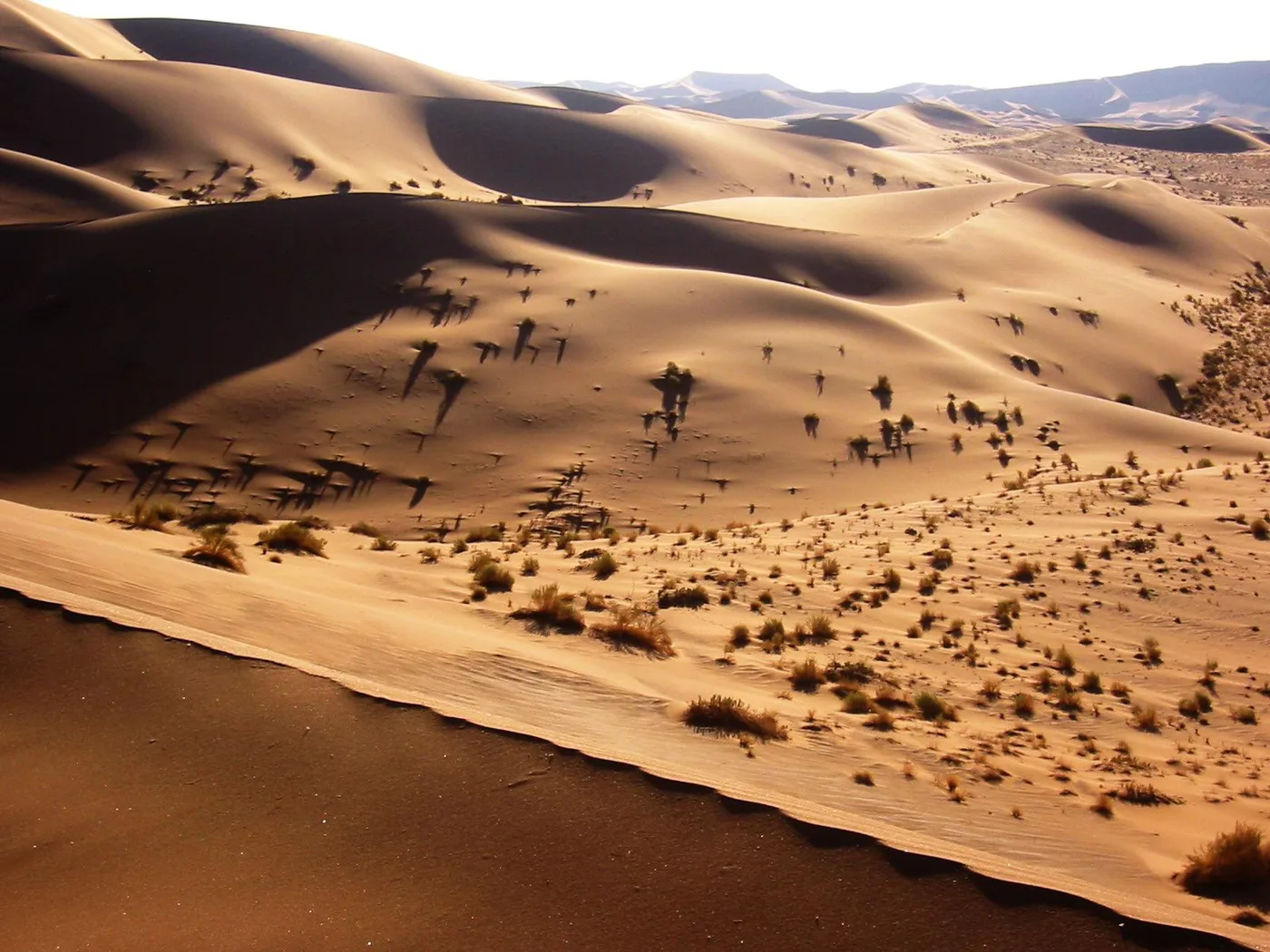 Desierto de Namib (Dorob y Swakopmund), Swakopmund
