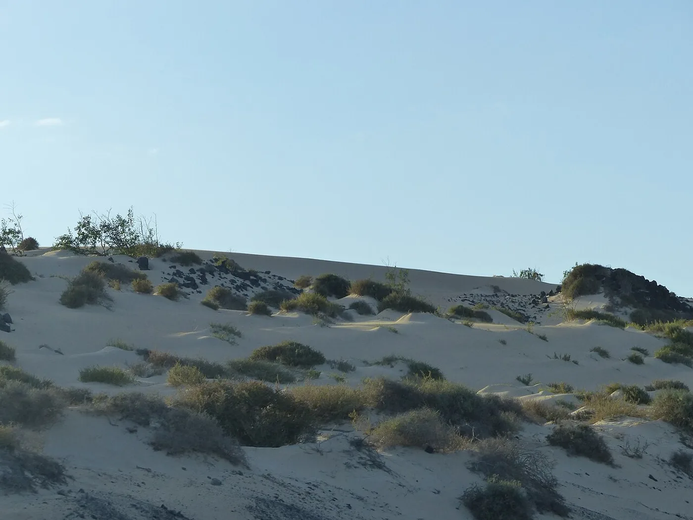 Dunas de Corralejo, La Oliva