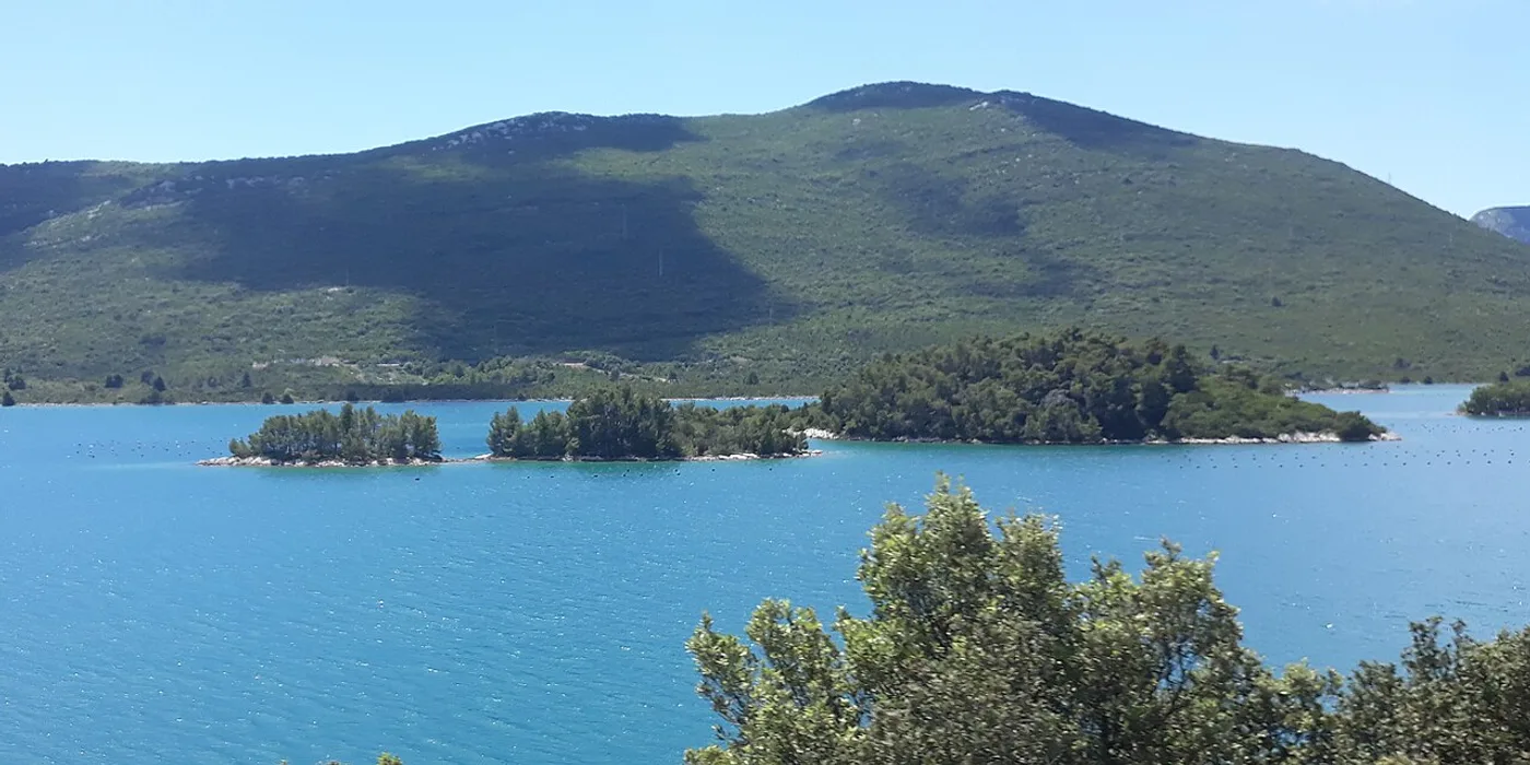 Ostras de Mali Ston, Ston