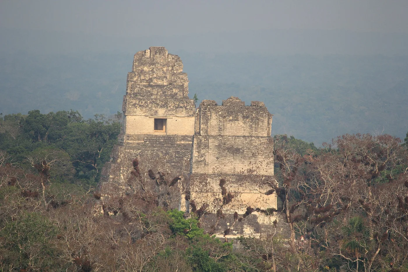 Tikal, Flores (Petén)
